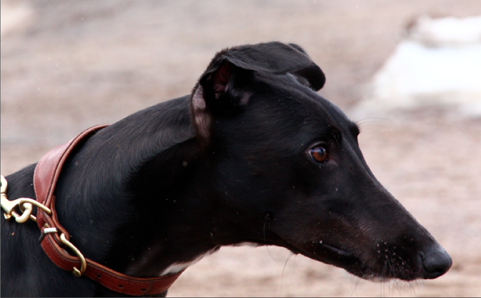 Screen shot 2014-12-02 at 18.06.08