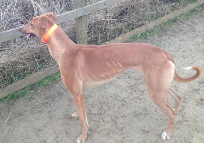 Screen shot 2014-12-02 at 18.10.37