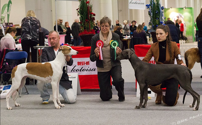 Screen shot 2014-12-02 at 18.13.08