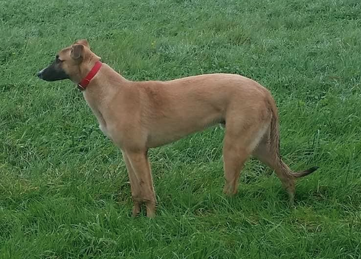 Screen shot 2020-01-17 at 14.22.28