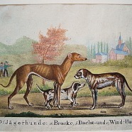 Jagdhunde Jagd Bracke Dackel Windhund Lithographie 1840